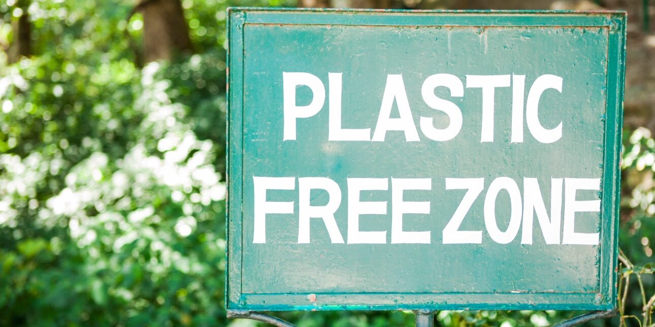 A green sign in front of a green plant with white flowers that reads plastic free zone